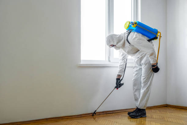 Professional Pest Control in Placitas, NM