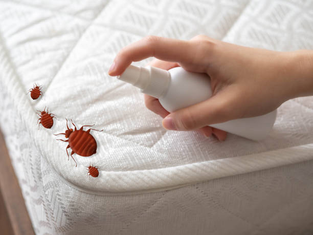 Best Pest Prevention Services  in Placitas, NM